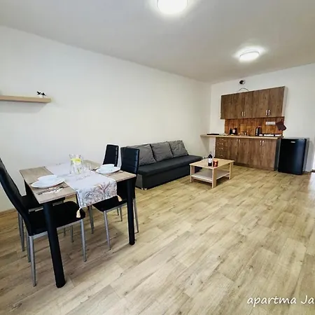 Apartmany Komenskeho Velké Losiny Exterior photo